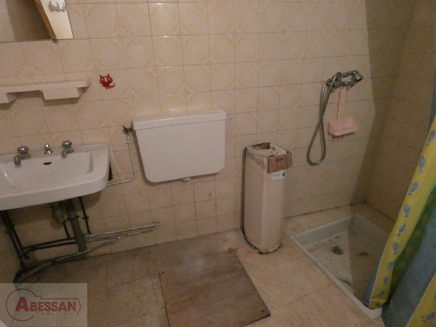  à vendre maison Salles Tarn 3