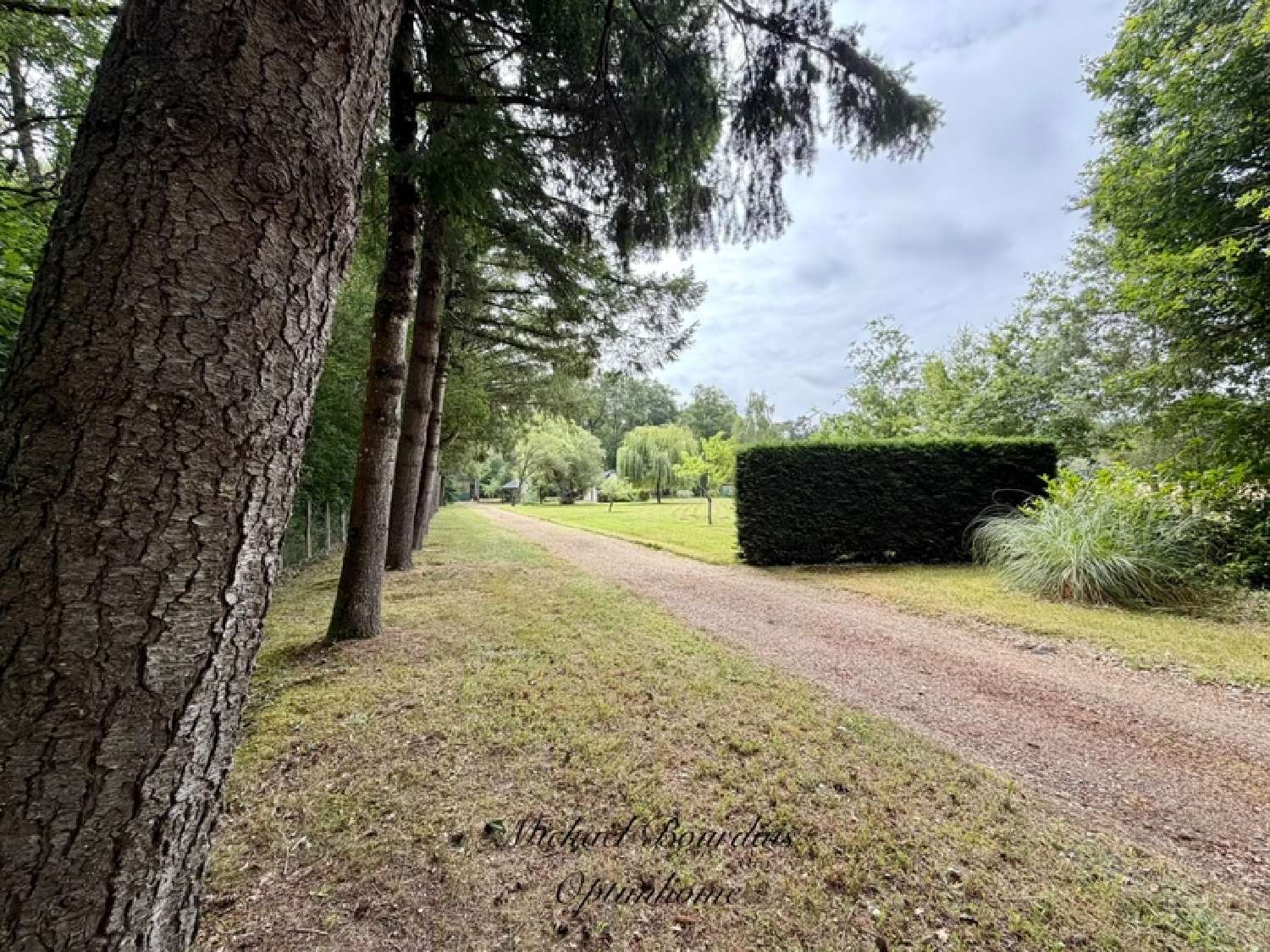 for sale house Savigné-sous-le-Lude Sarthe 4
