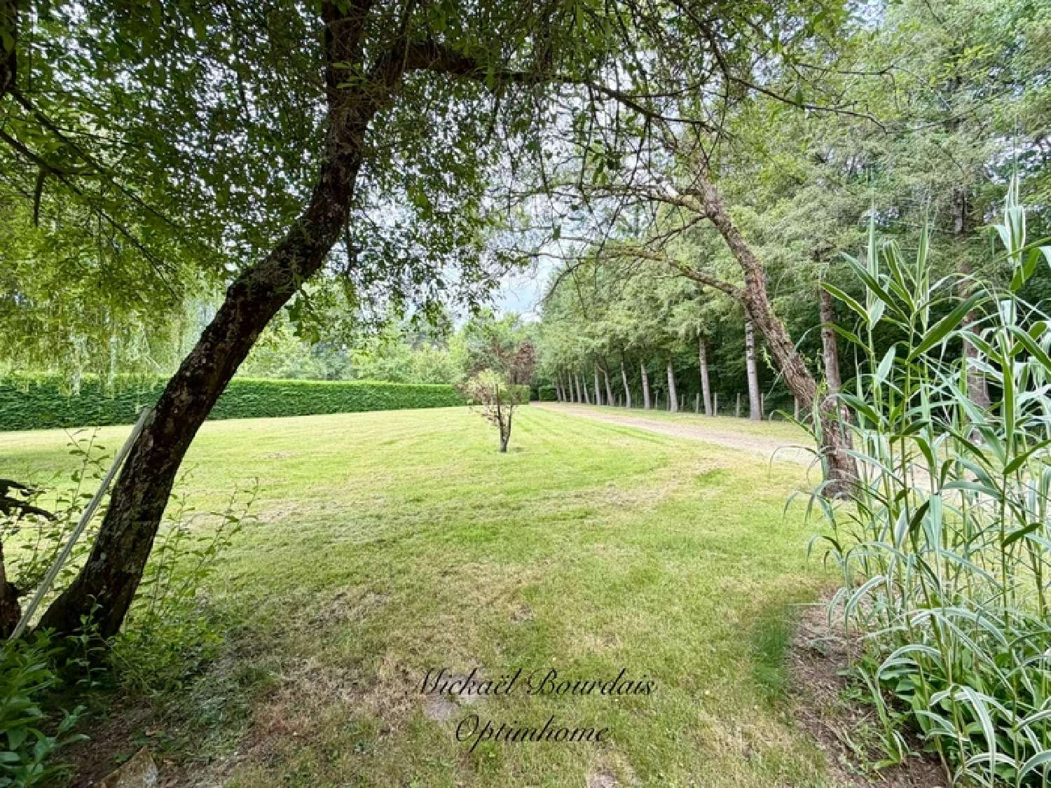 for sale house Savigné-sous-le-Lude Sarthe 5