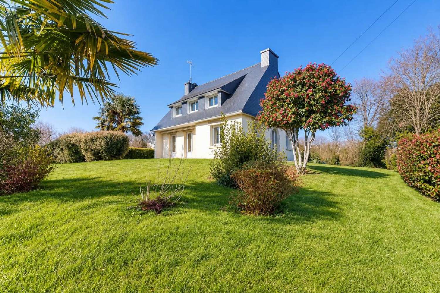  for sale house Scaër Finistère 1