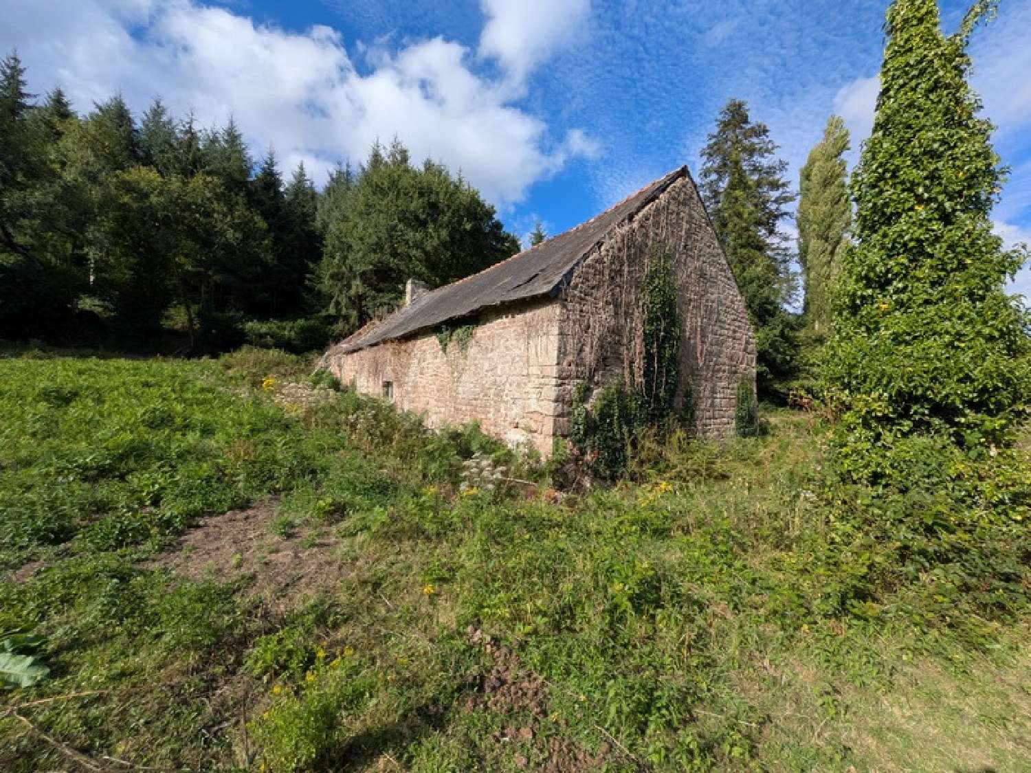  en venta casa Séglien Morbihan 3