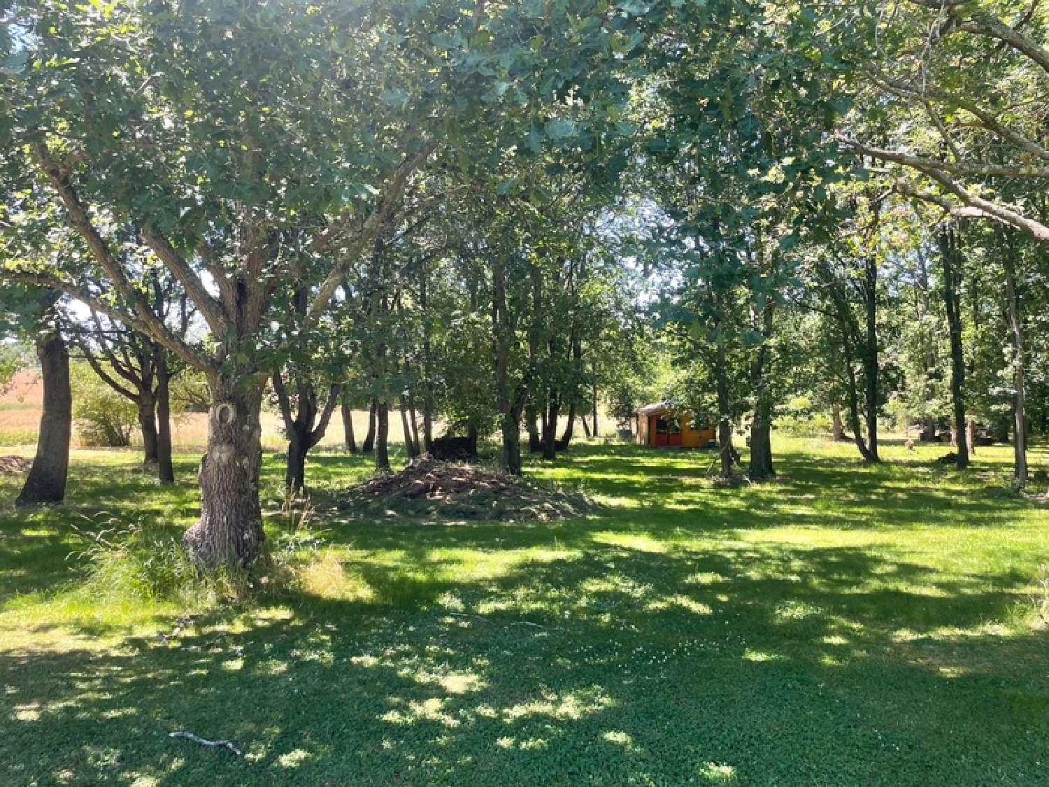  en venta casa Seilh Haute-Garonne 5