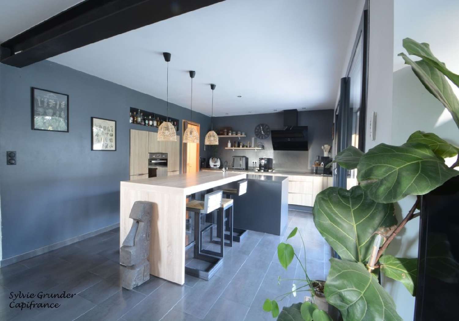  à vendre maison Sénas Bouches-du-Rhône 8