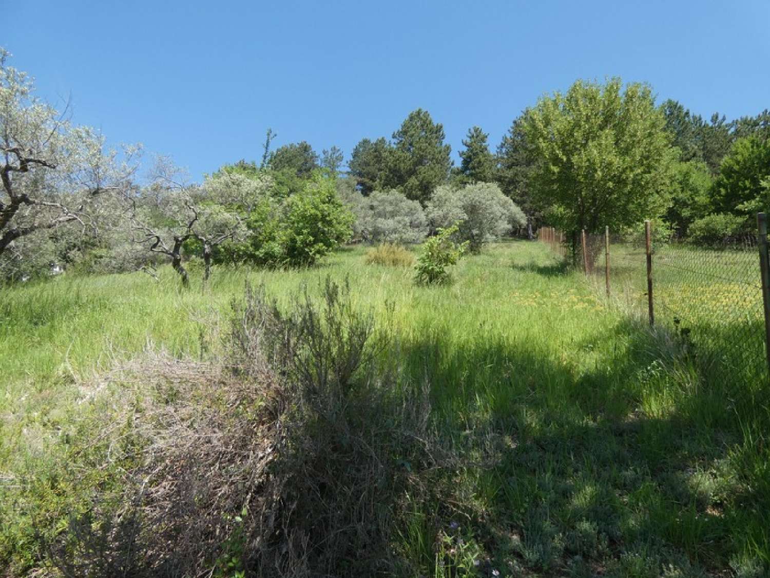 à vendre maison Sisteron Alpes-de-Haute-Provence 8