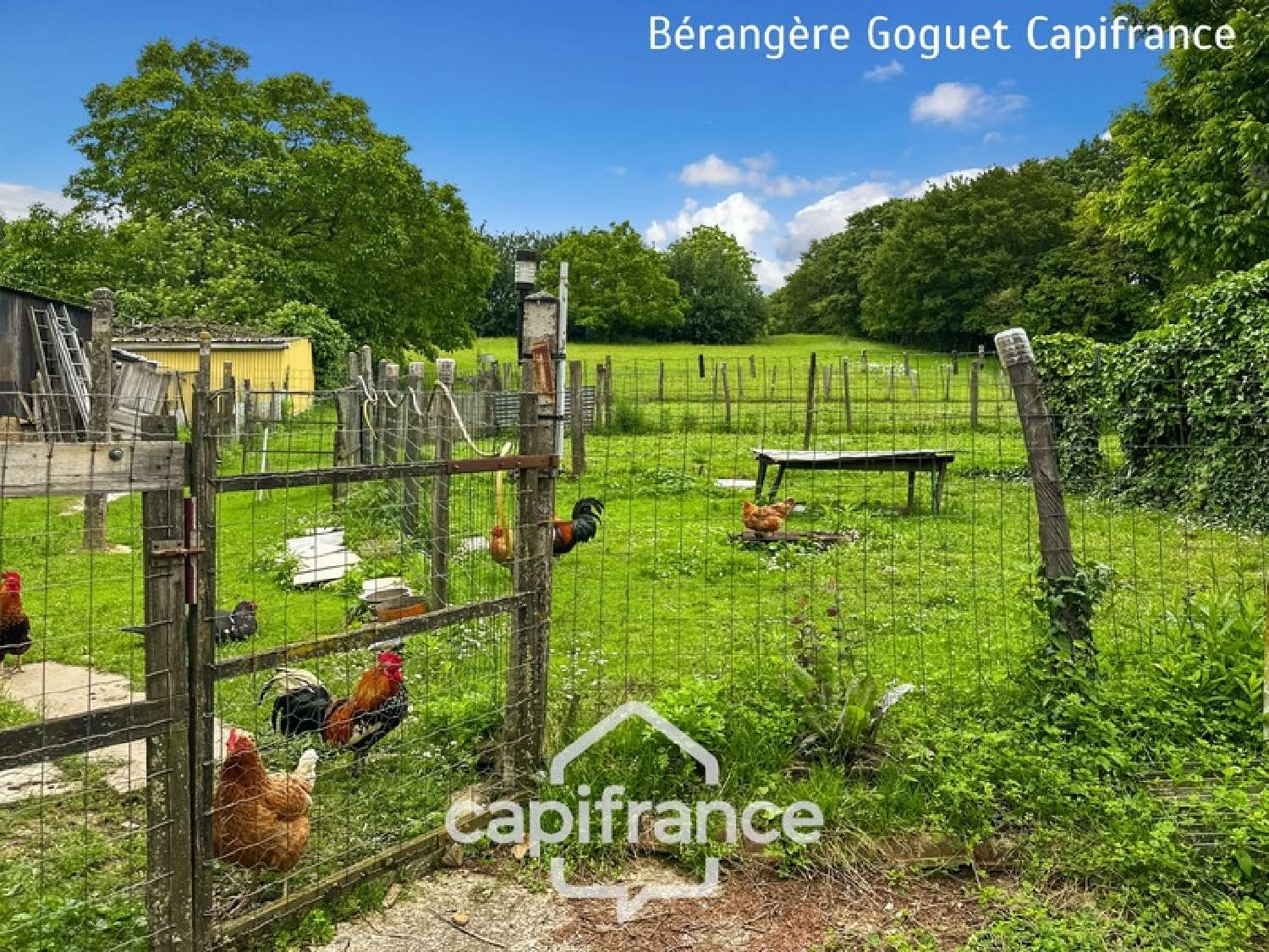  for sale house Souligné-sous-Ballon Sarthe 3