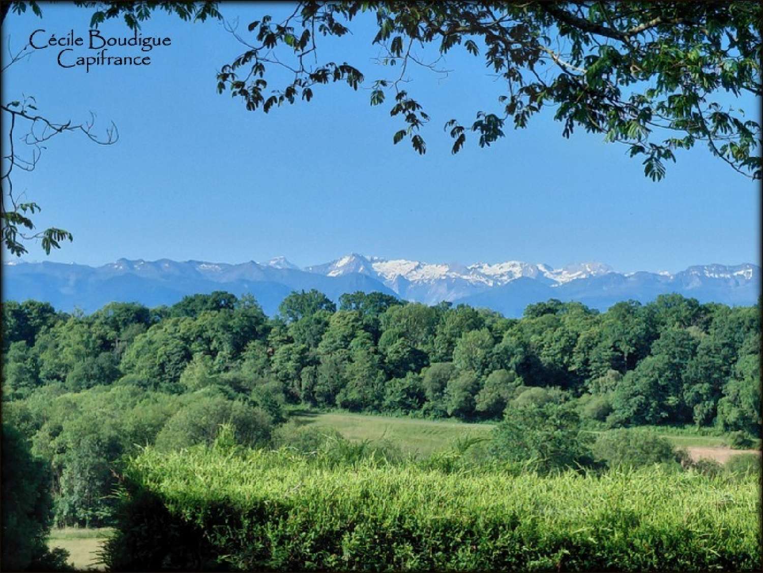 kaufen Haus Soumoulou Pyrénées-Atlantiques 2