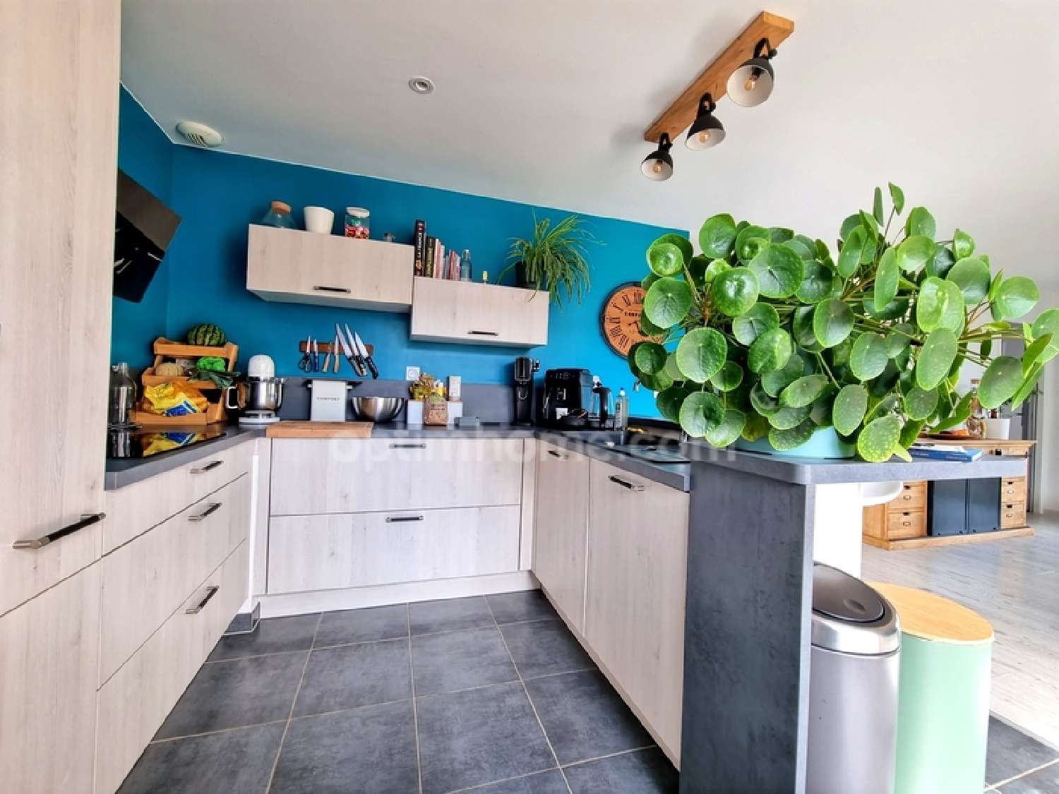  te koop huis Taillebois Orne 4