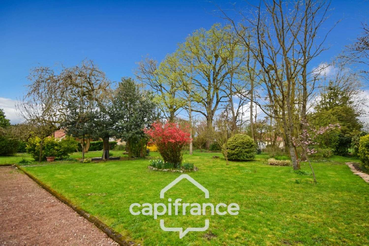  à vendre maison Terrans Saône-et-Loire 7