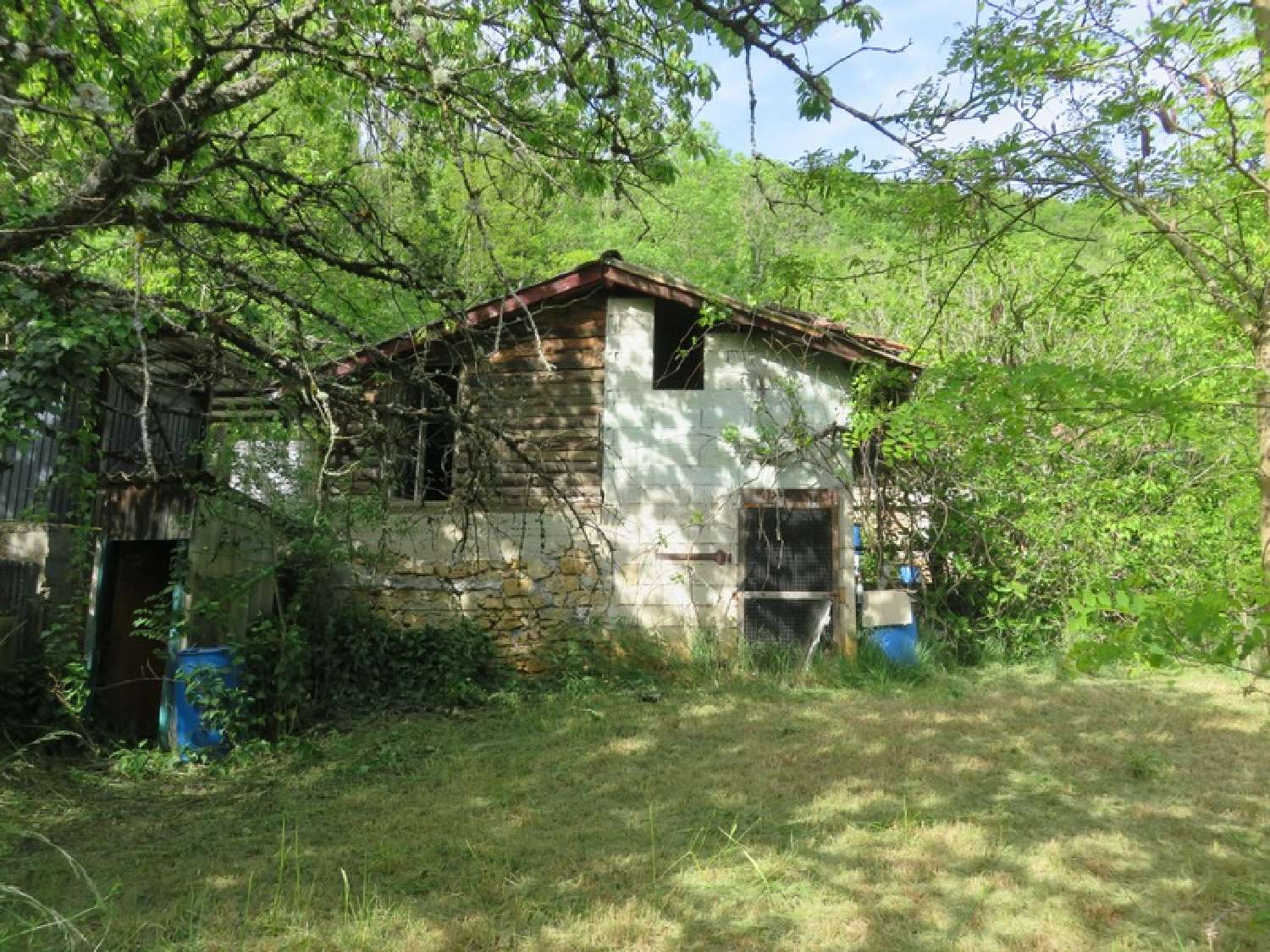 for sale house Torcieu Ain 6