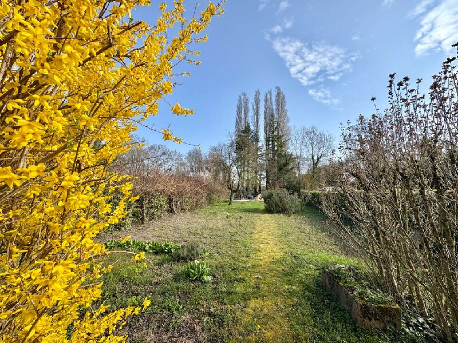 te koop huis Tournus Saône-et-Loire 4