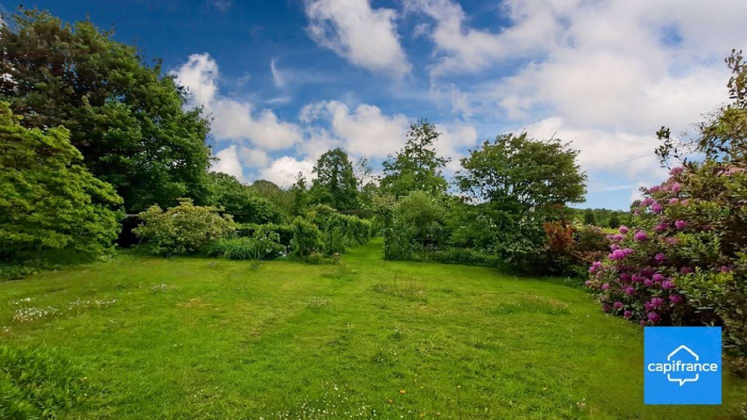  for sale house Treffendel Ille-et-Vilaine 3