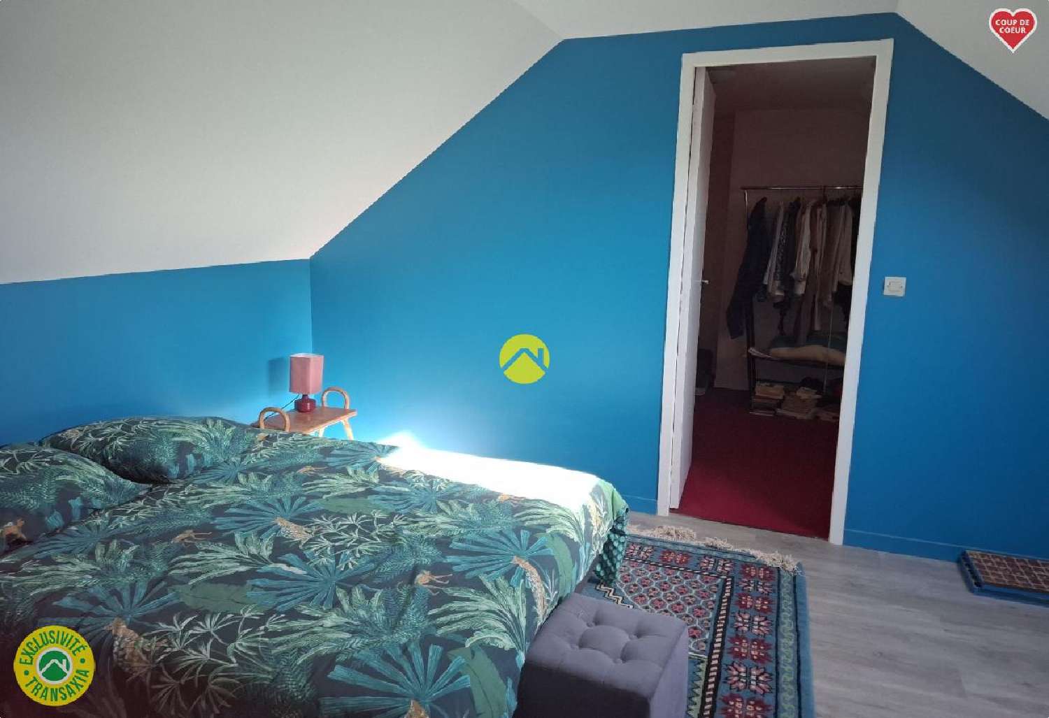  te koop huis Trouy Cher 7