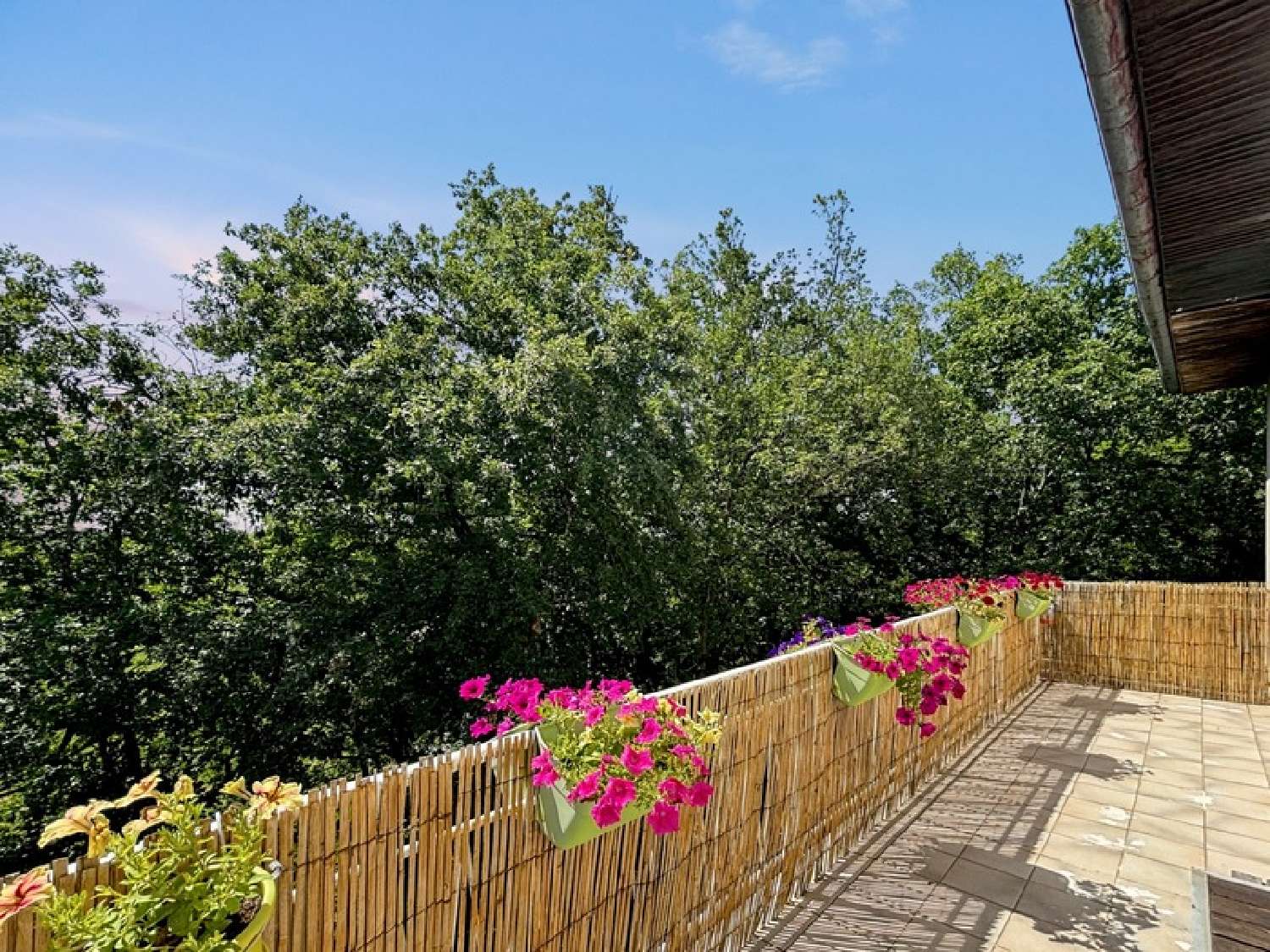  en venta casa Valence-sur-Baïse Gers 6
