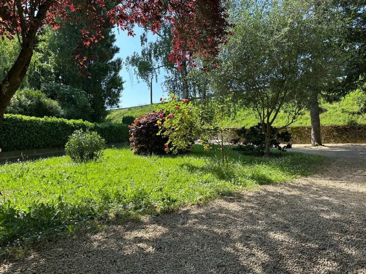  for sale house Varennes-sur-Loire Maine-et-Loire 2