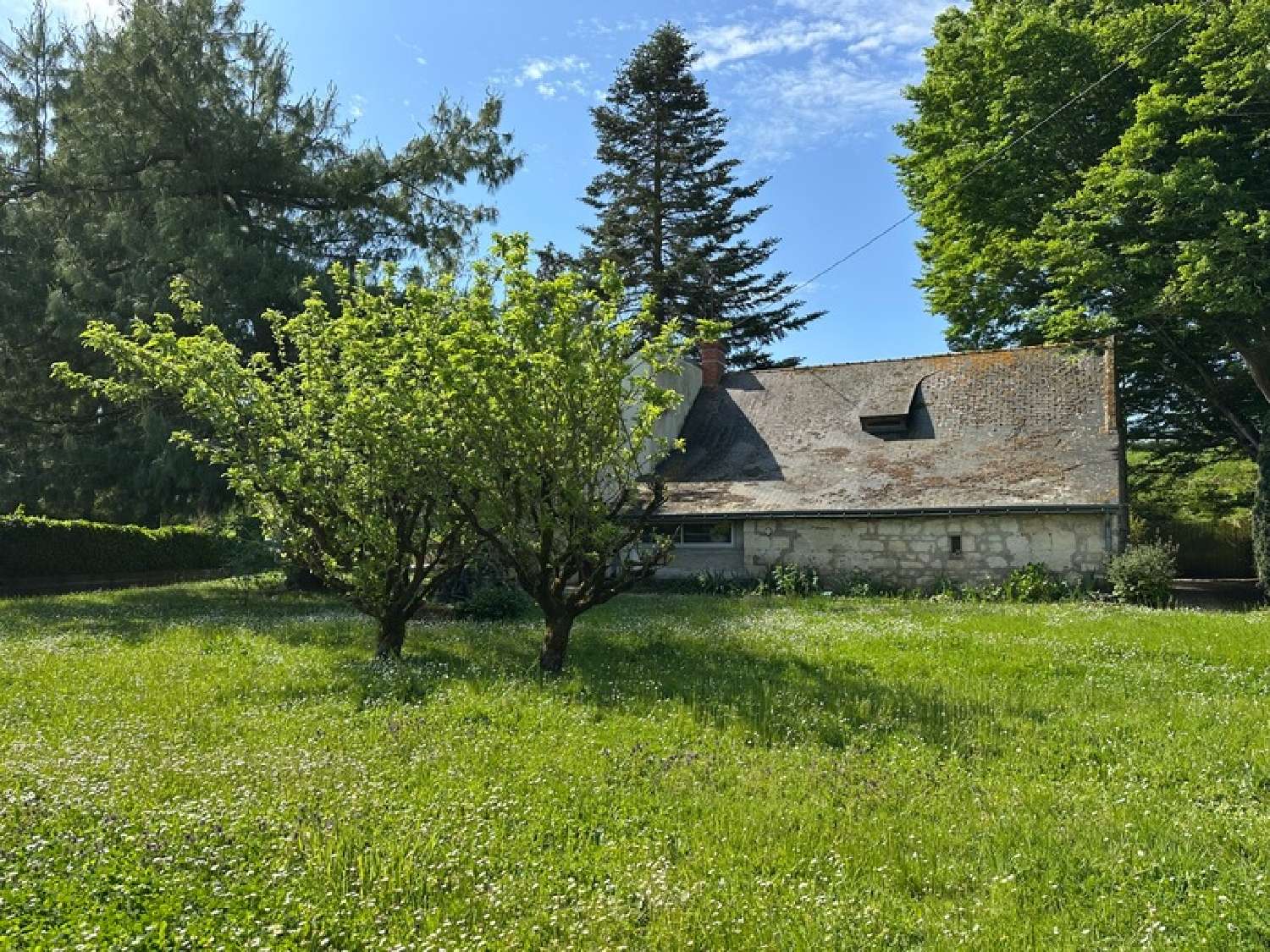  for sale house Varennes-sur-Loire Maine-et-Loire 3