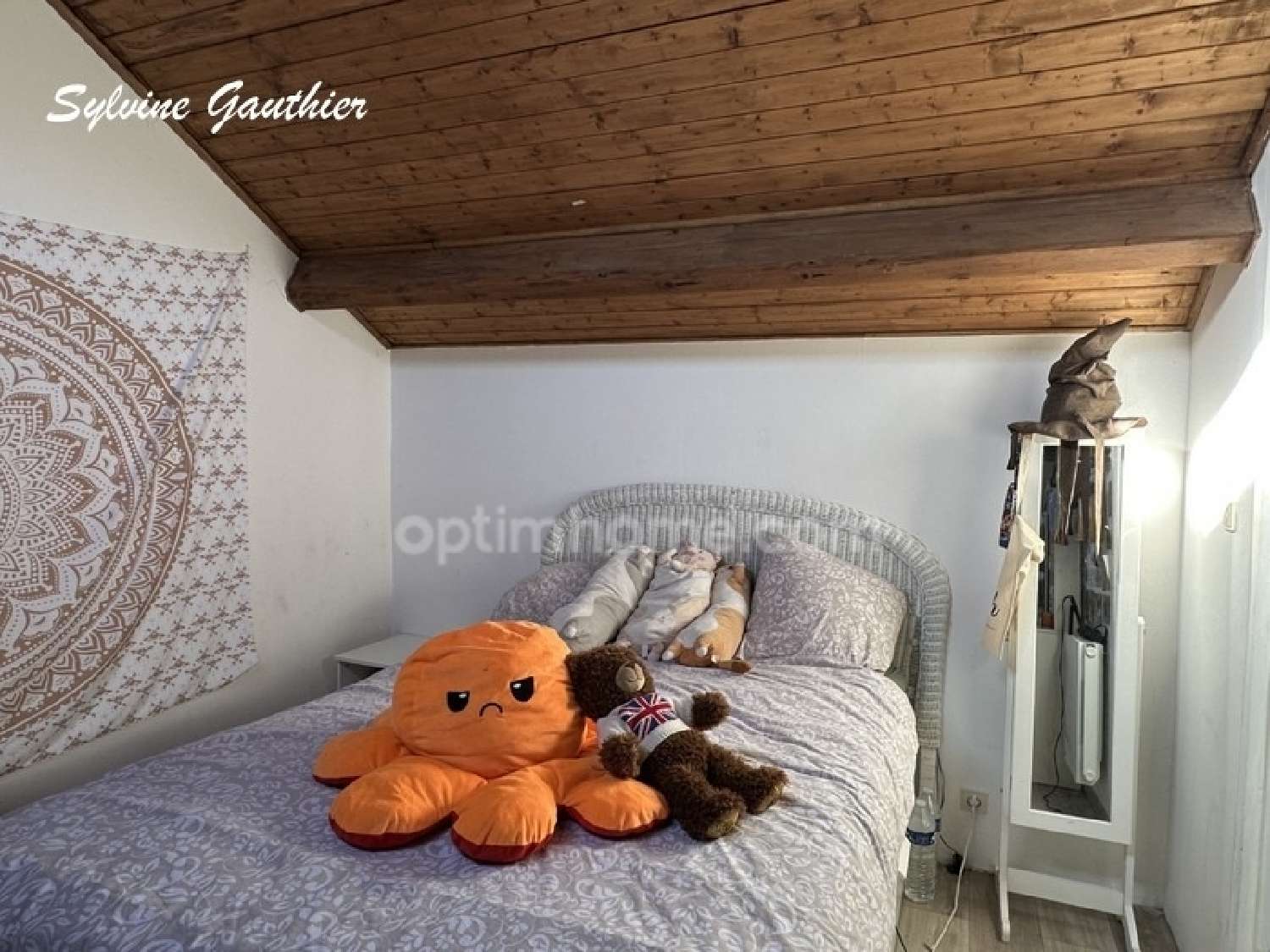 à vendre maison Veynes Hautes-Alpes 8