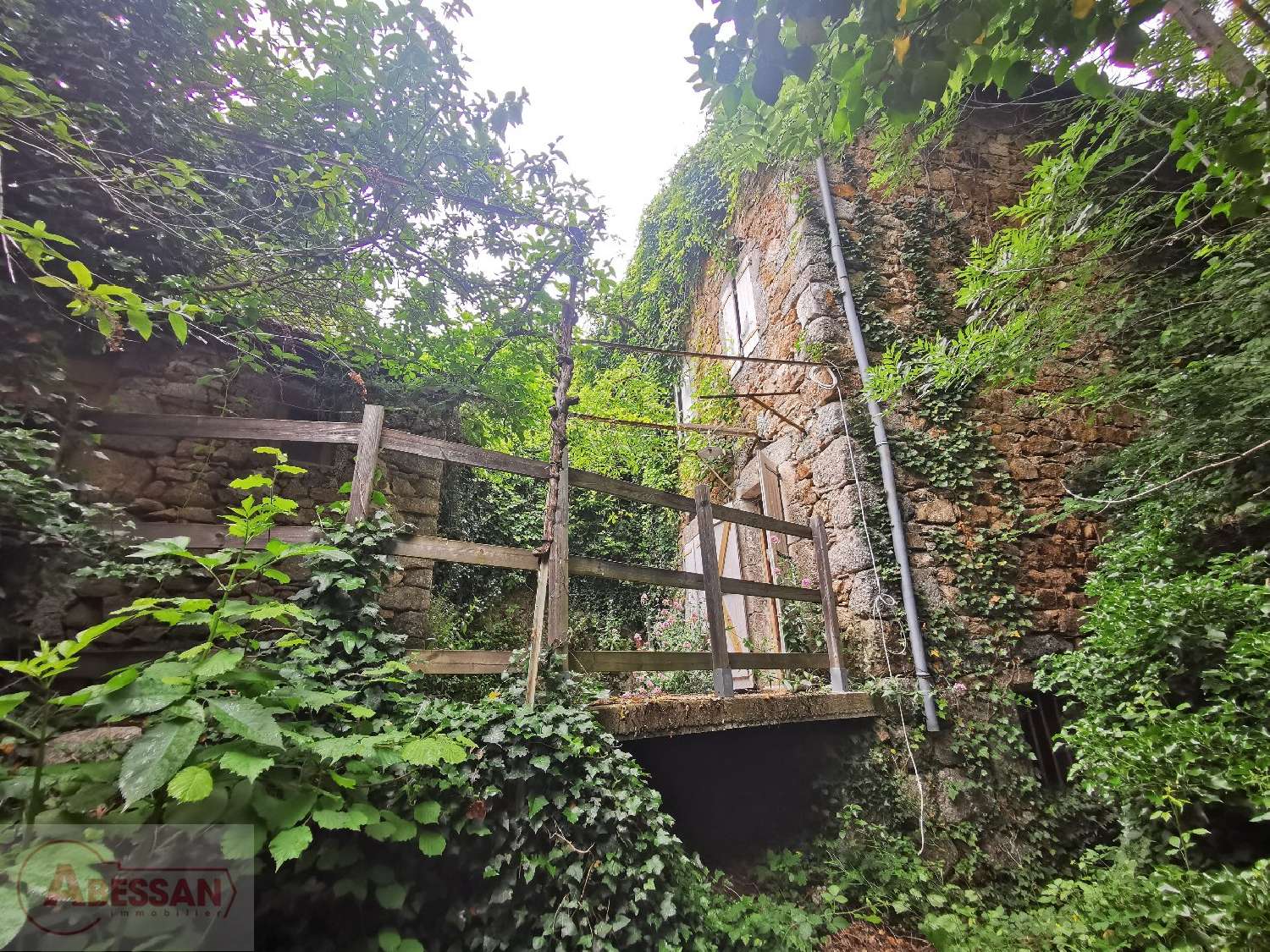 kaufen Haus Vialas Lozère 2