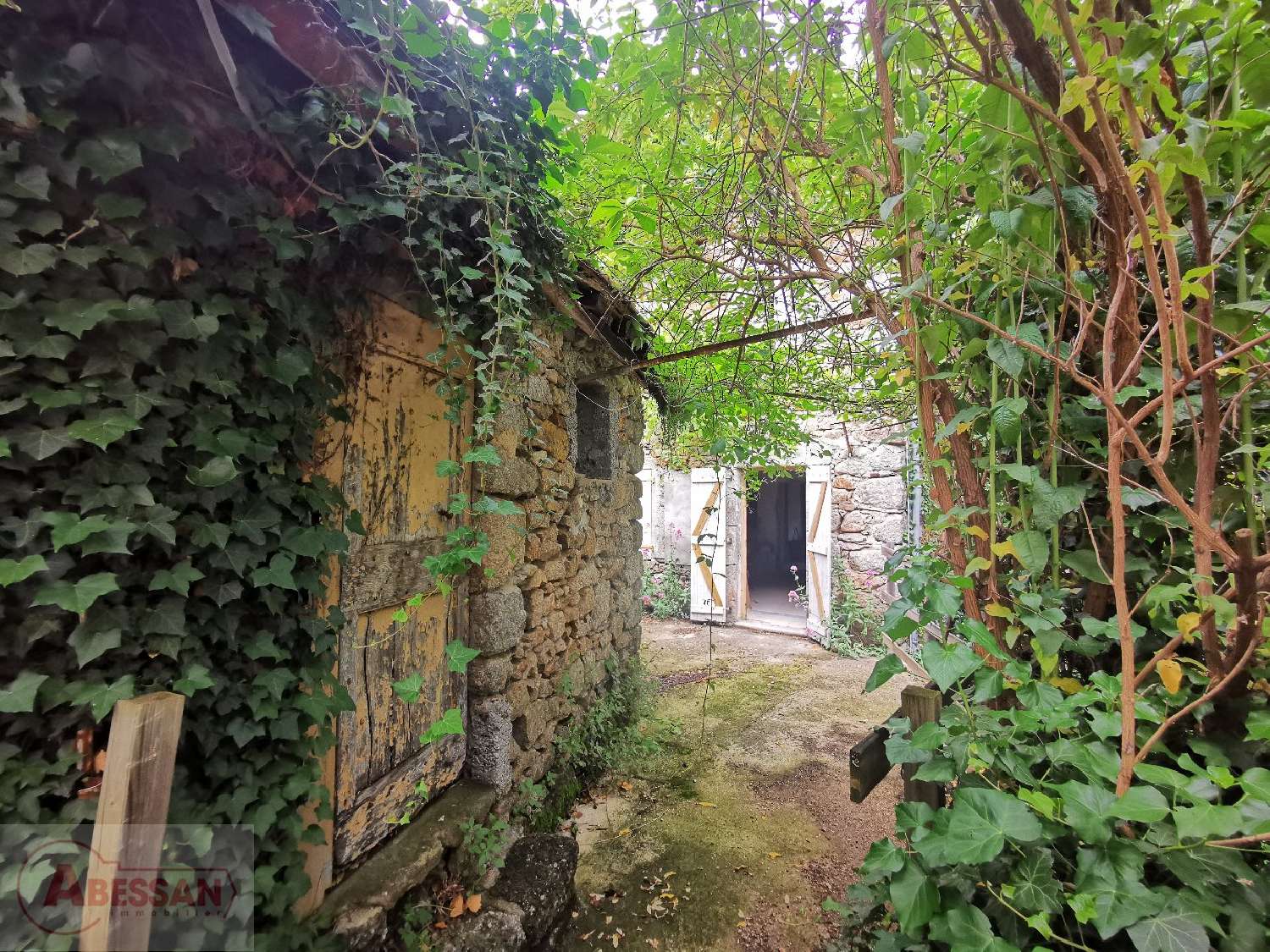 kaufen Haus Vialas Lozère 6