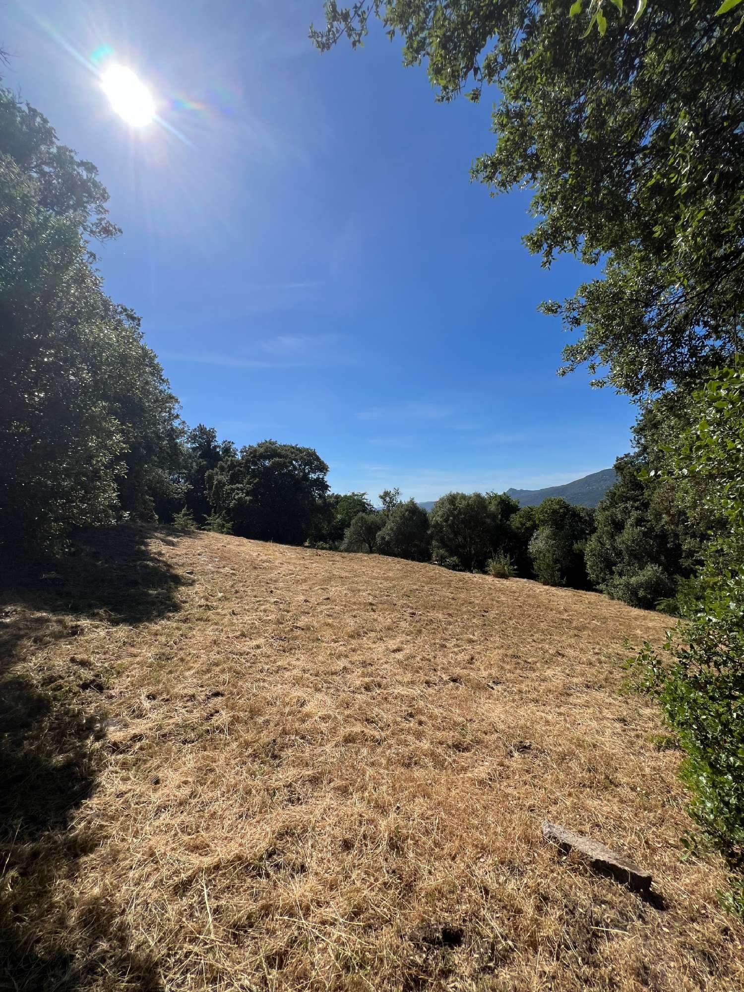 te koop huis Viggianello Corse-du-Sud 4