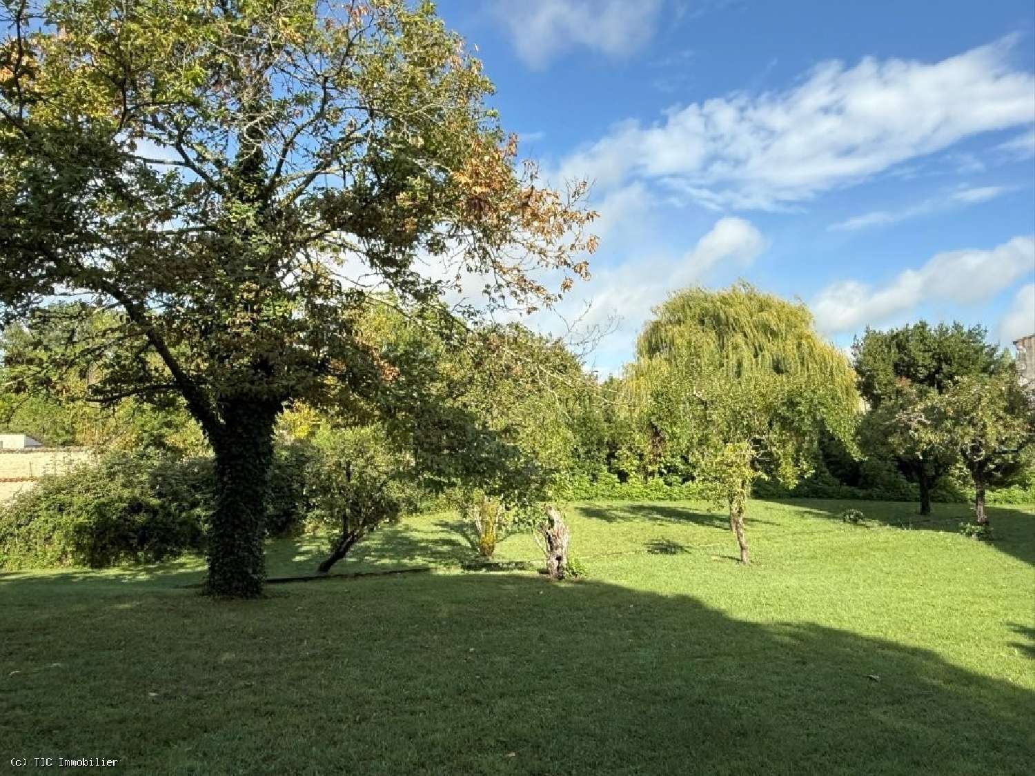 te koop huis Villefagnan Charente 6