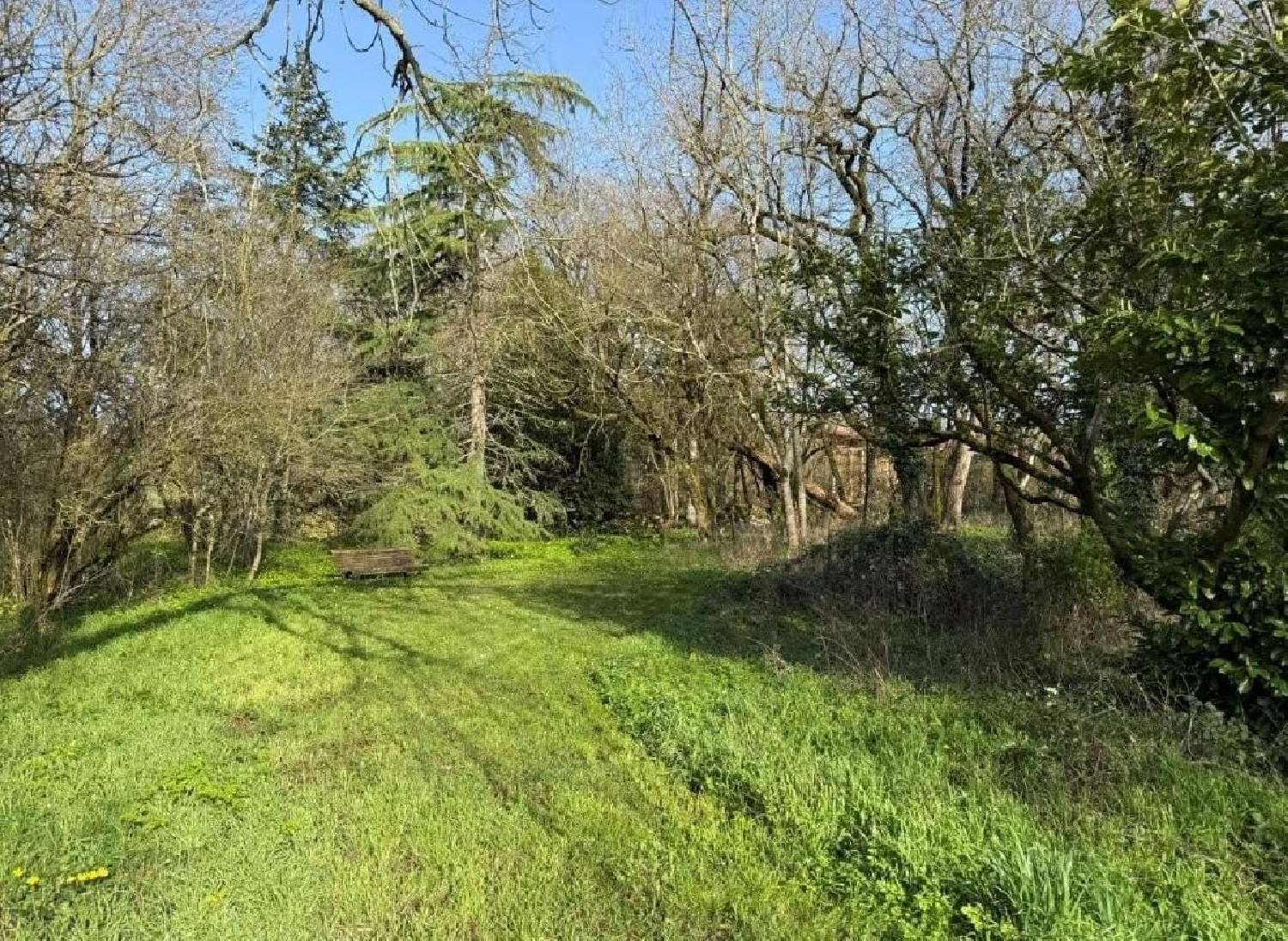  te koop huis Villefagnan Charente 4