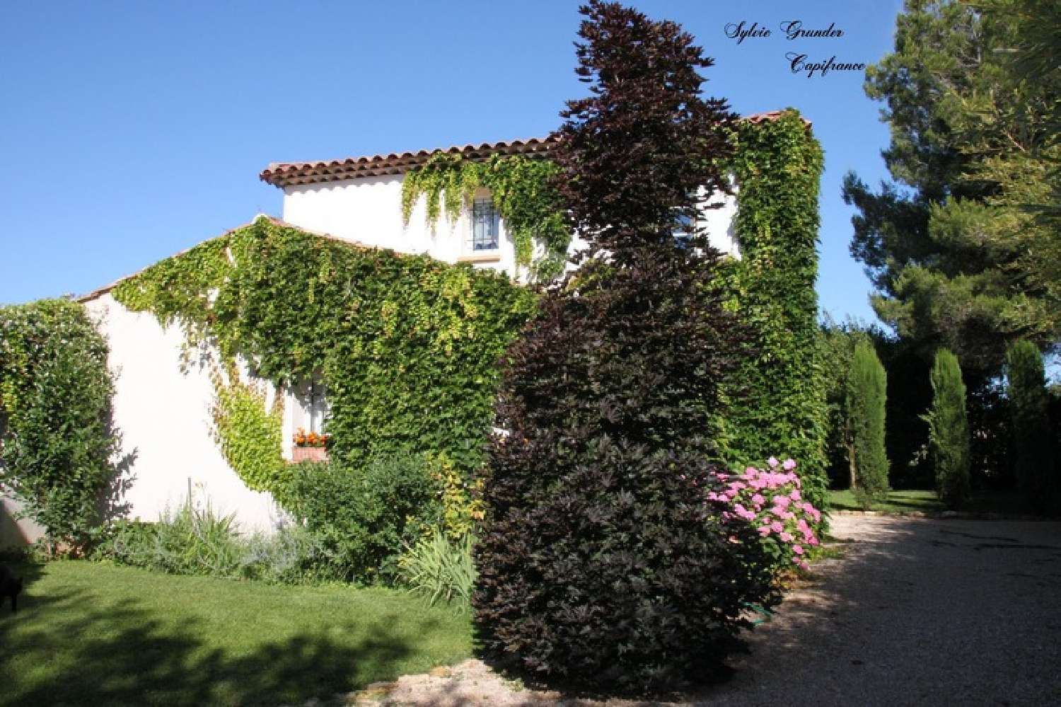  te koop huis Villelaure Vaucluse 4