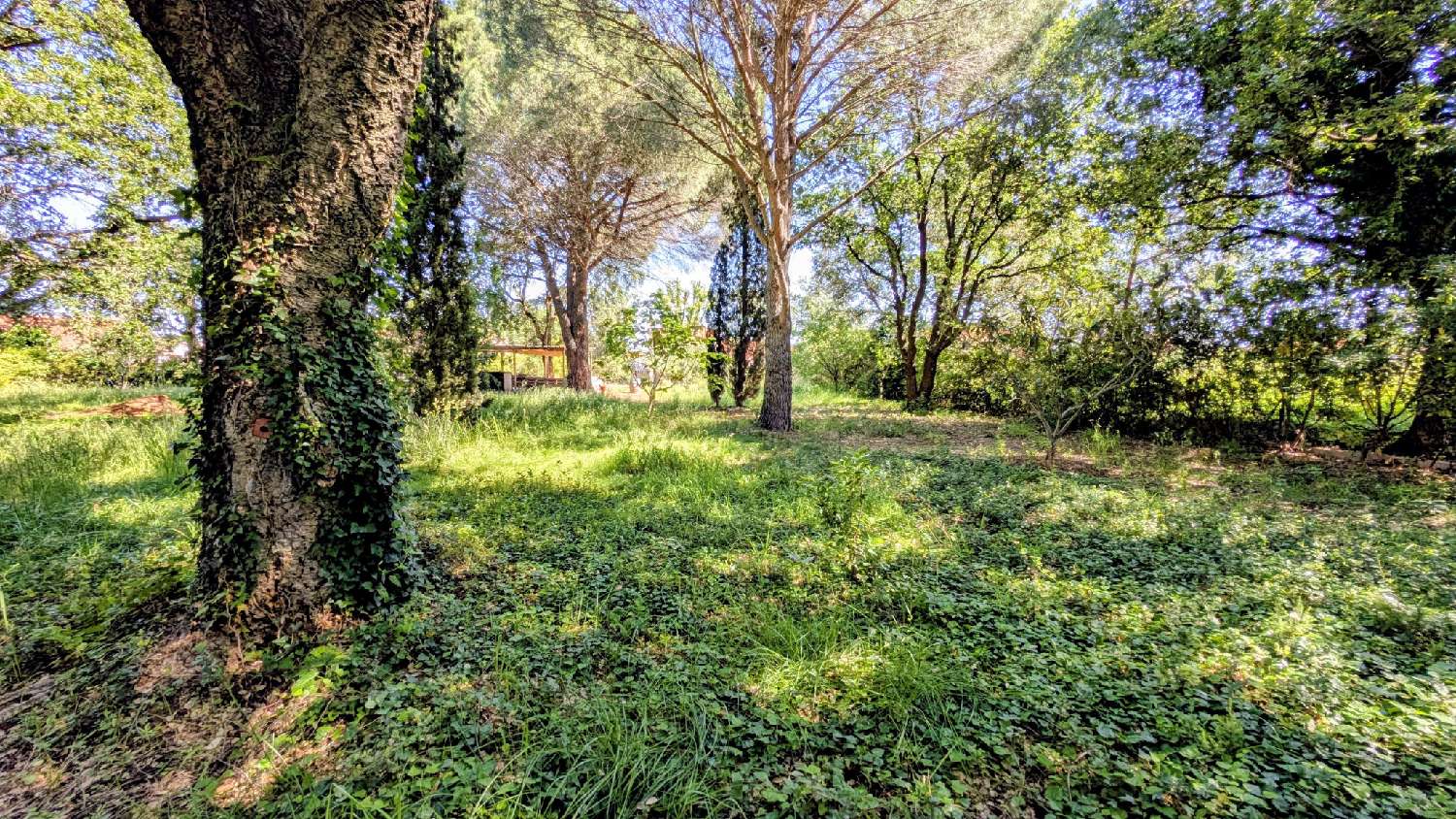 for sale house Villelongue-dels-Monts Pyrénées-Orientales 4