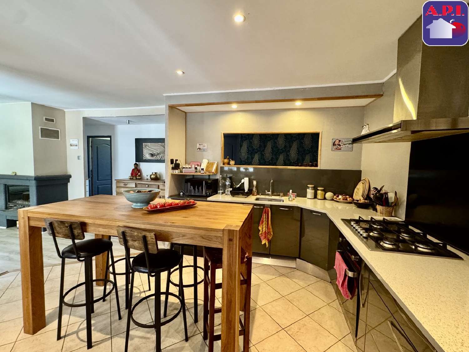  à vendre maison Villeneuve-du-Paréage Ariège 5