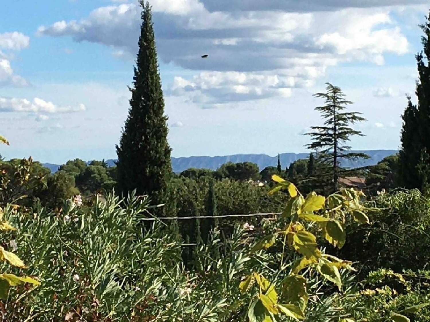  for sale house Villeneuve-lès-Avignon Gard 6