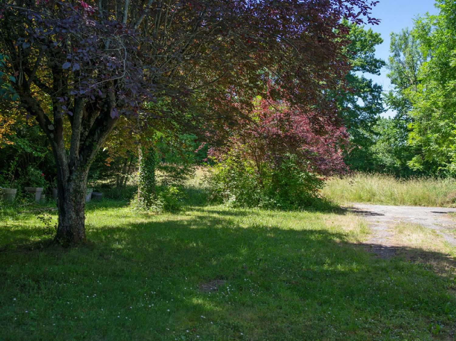 à vendre maison Villeneuve-Lécussan Haute-Garonne 4
