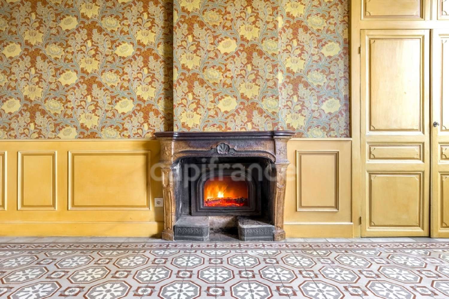 à vendre maison bourgeoise Panissières Loire 5