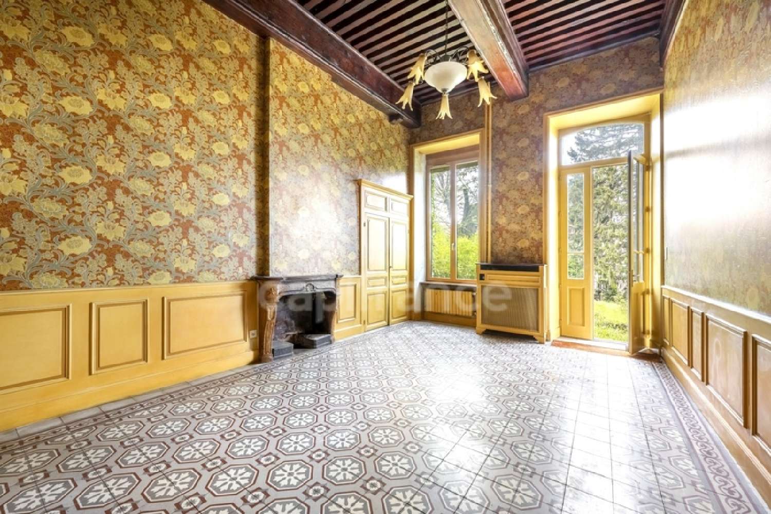 à vendre maison bourgeoise Panissières Loire 6