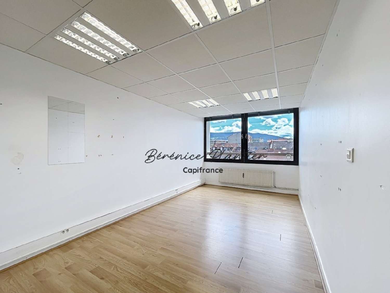 te koop kantoor Annemasse Haute-Savoie 1