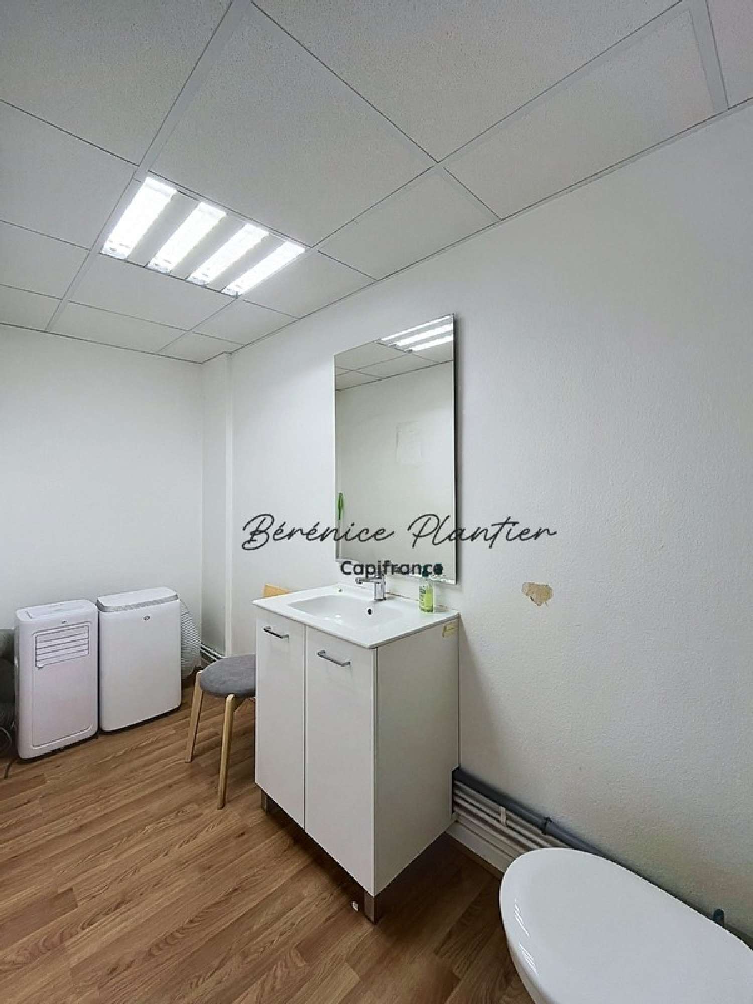 te koop kantoor Annemasse Haute-Savoie 3