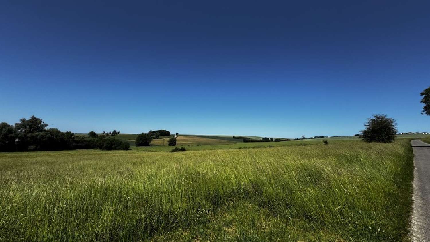  à vendre terrain Aincreville Meuse 3