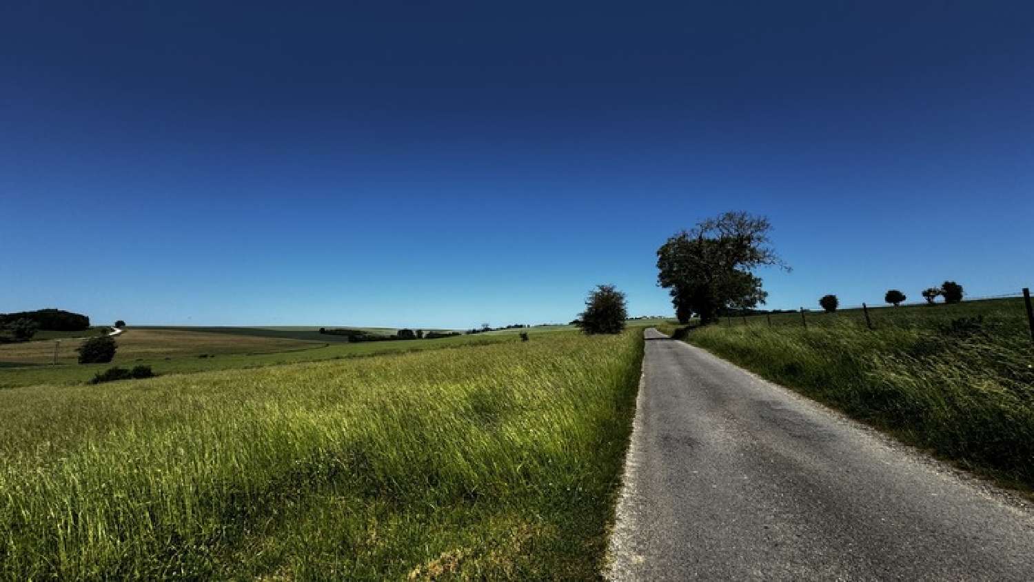  à vendre terrain Aincreville Meuse 6