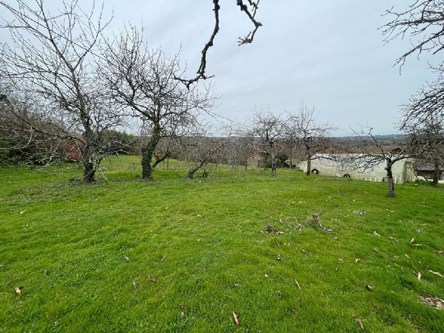 for sale terrain Aixe-sur-Vienne Haute-Vienne 1