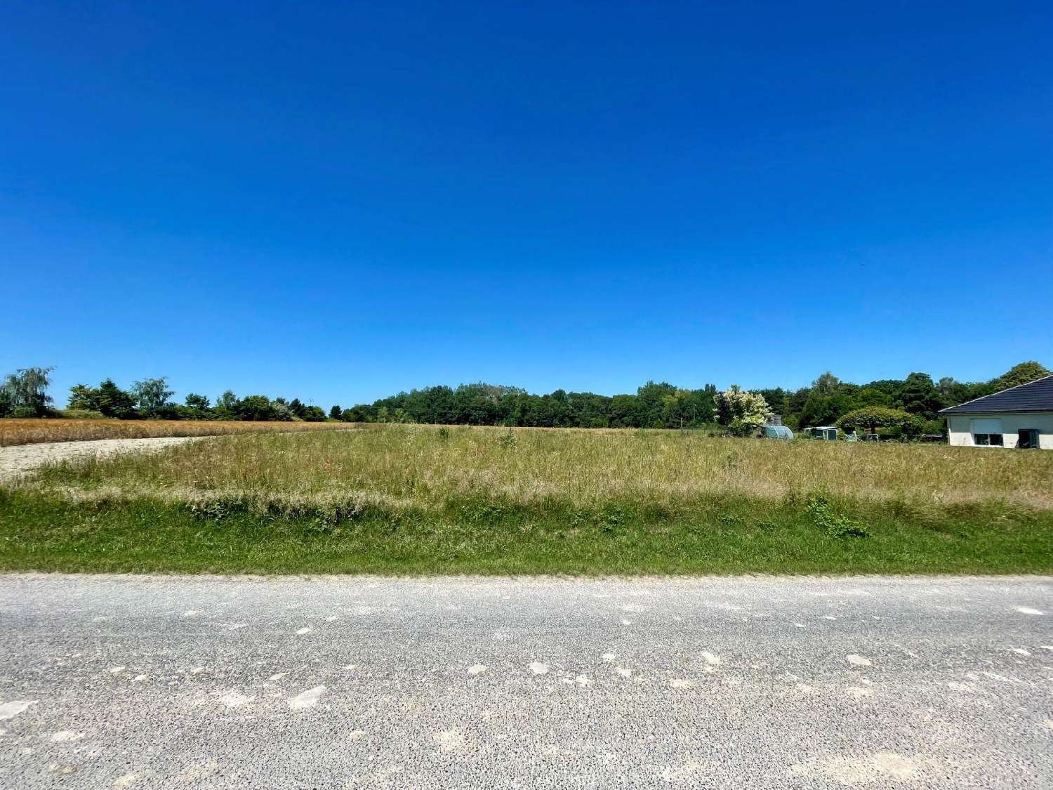 for sale terrain Alincourt Ardennes 1