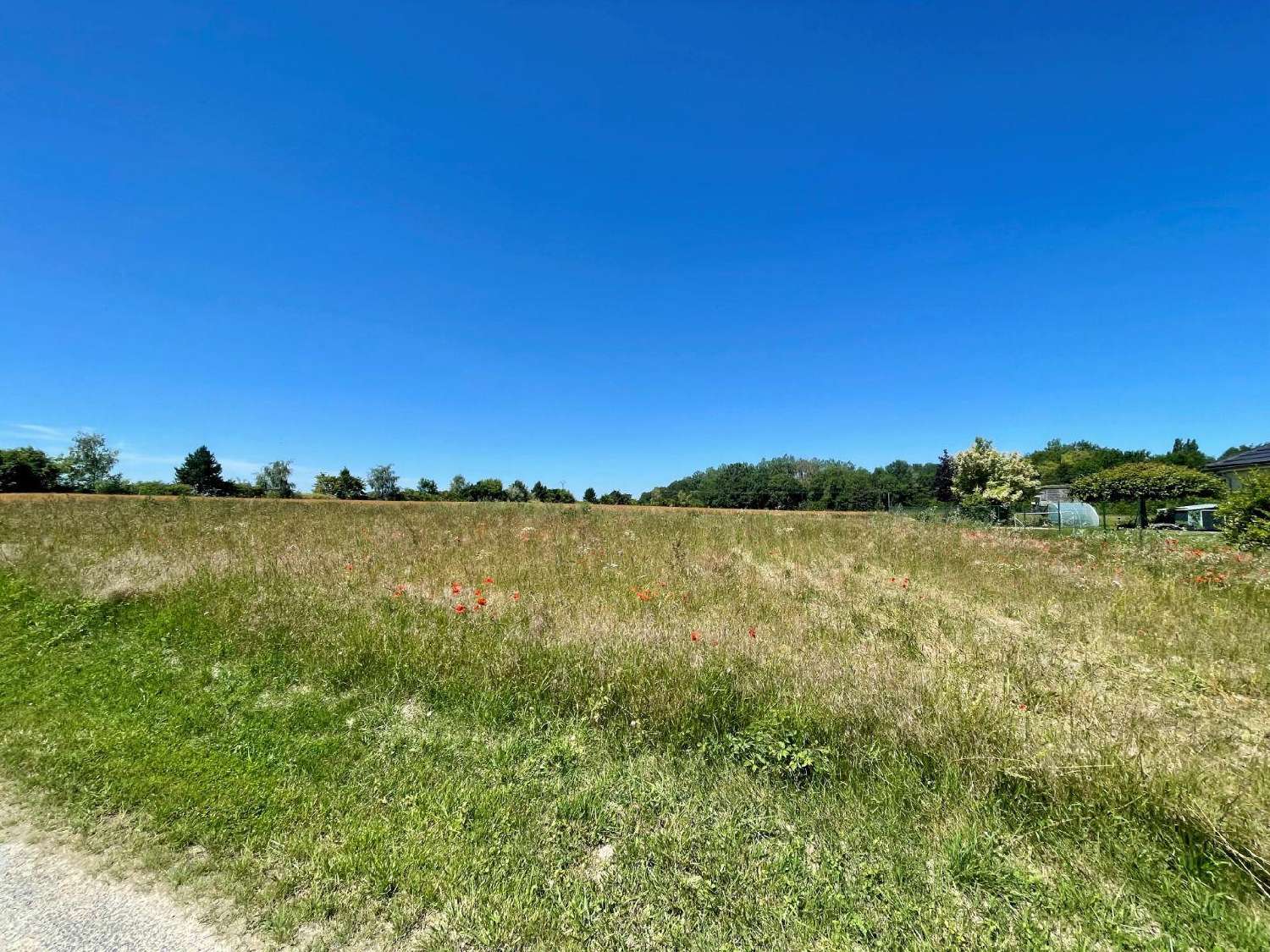  for sale terrain Alincourt Ardennes 2