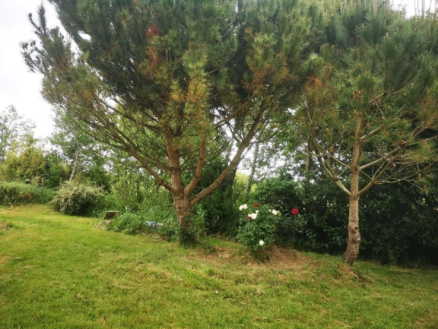  à vendre terrain Avrillé Vendée 3