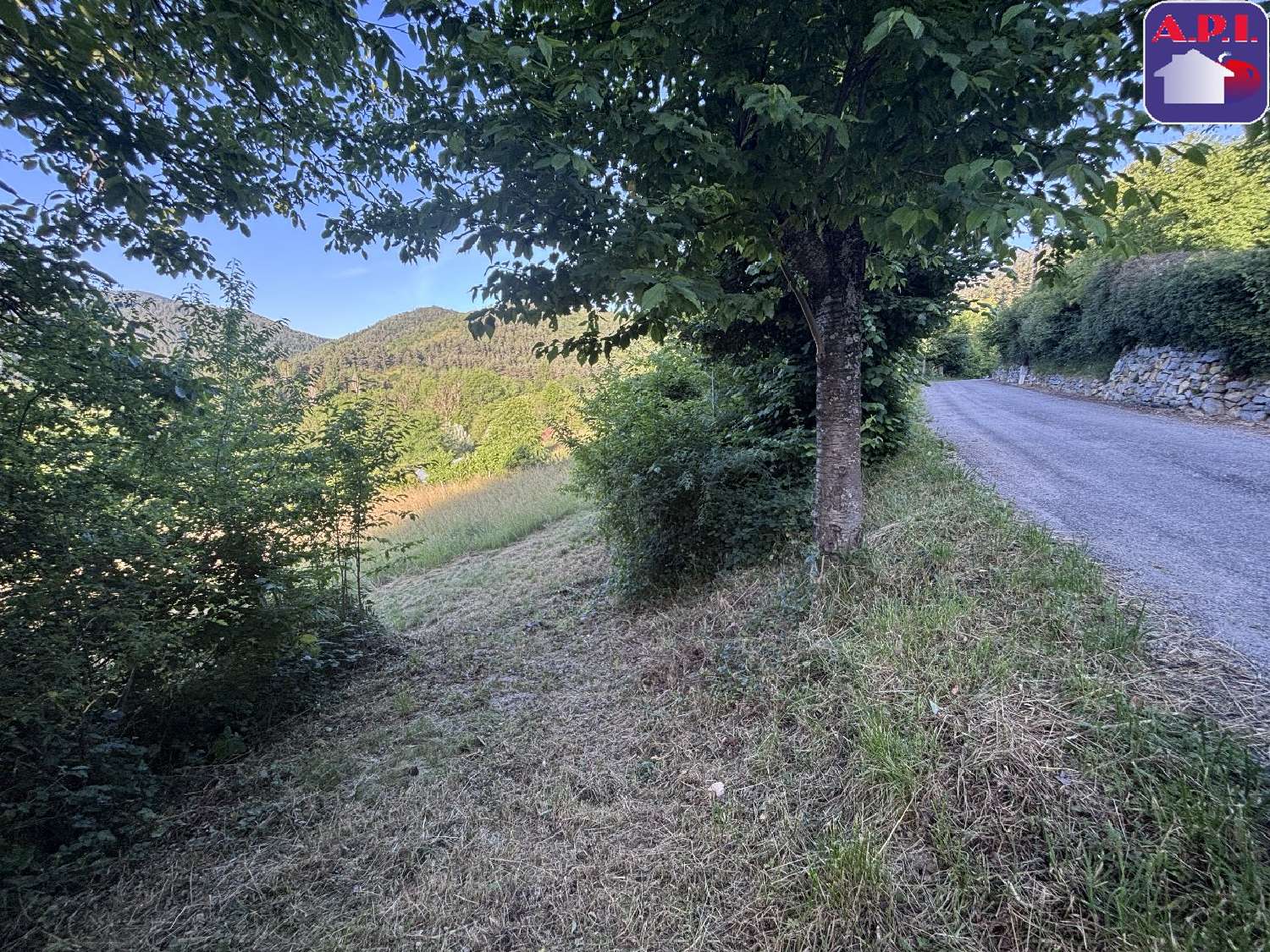 for sale terrain Belcaire Aude 3