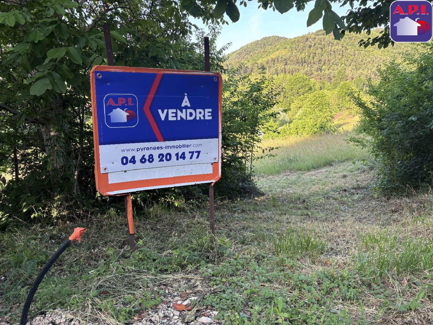 for sale terrain Belcaire Aude 4