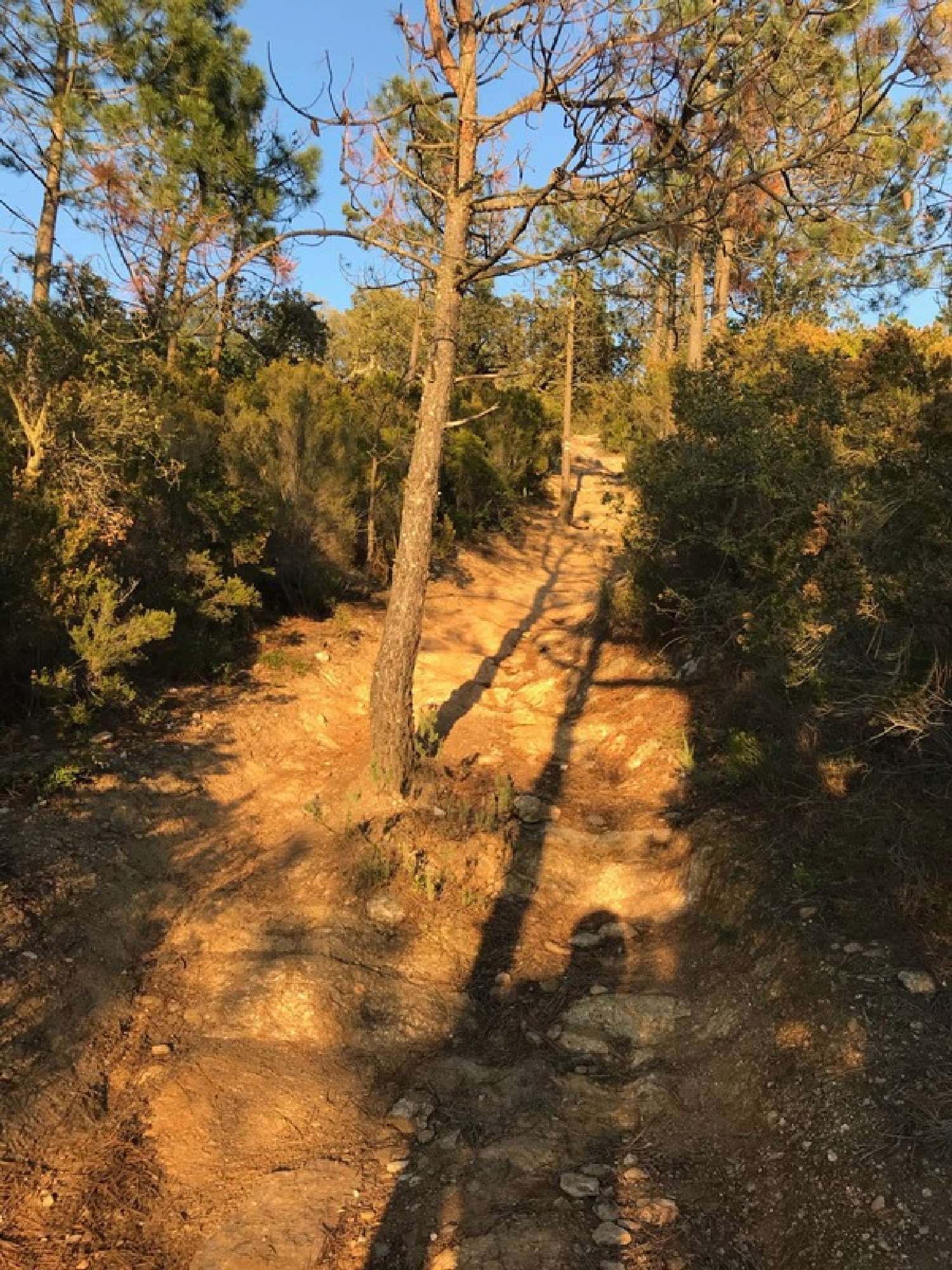te koop terrein Bormes-les-Mimosas Var 4