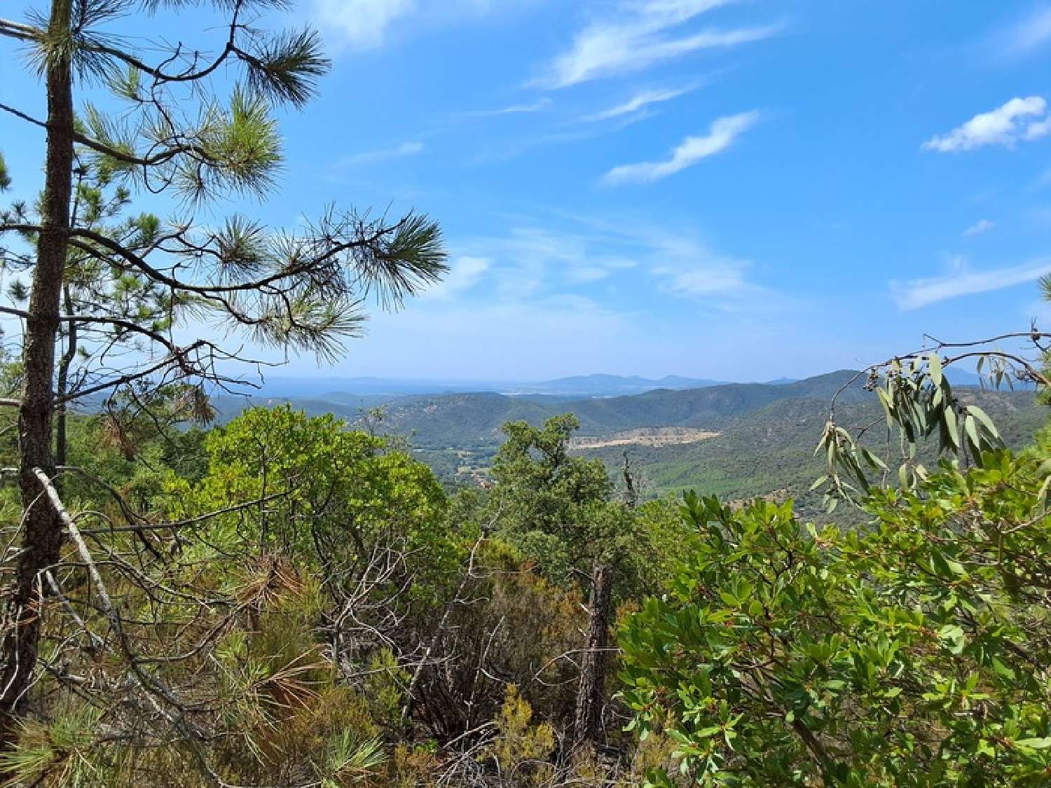 te koop terrein Bormes-les-Mimosas Var 6