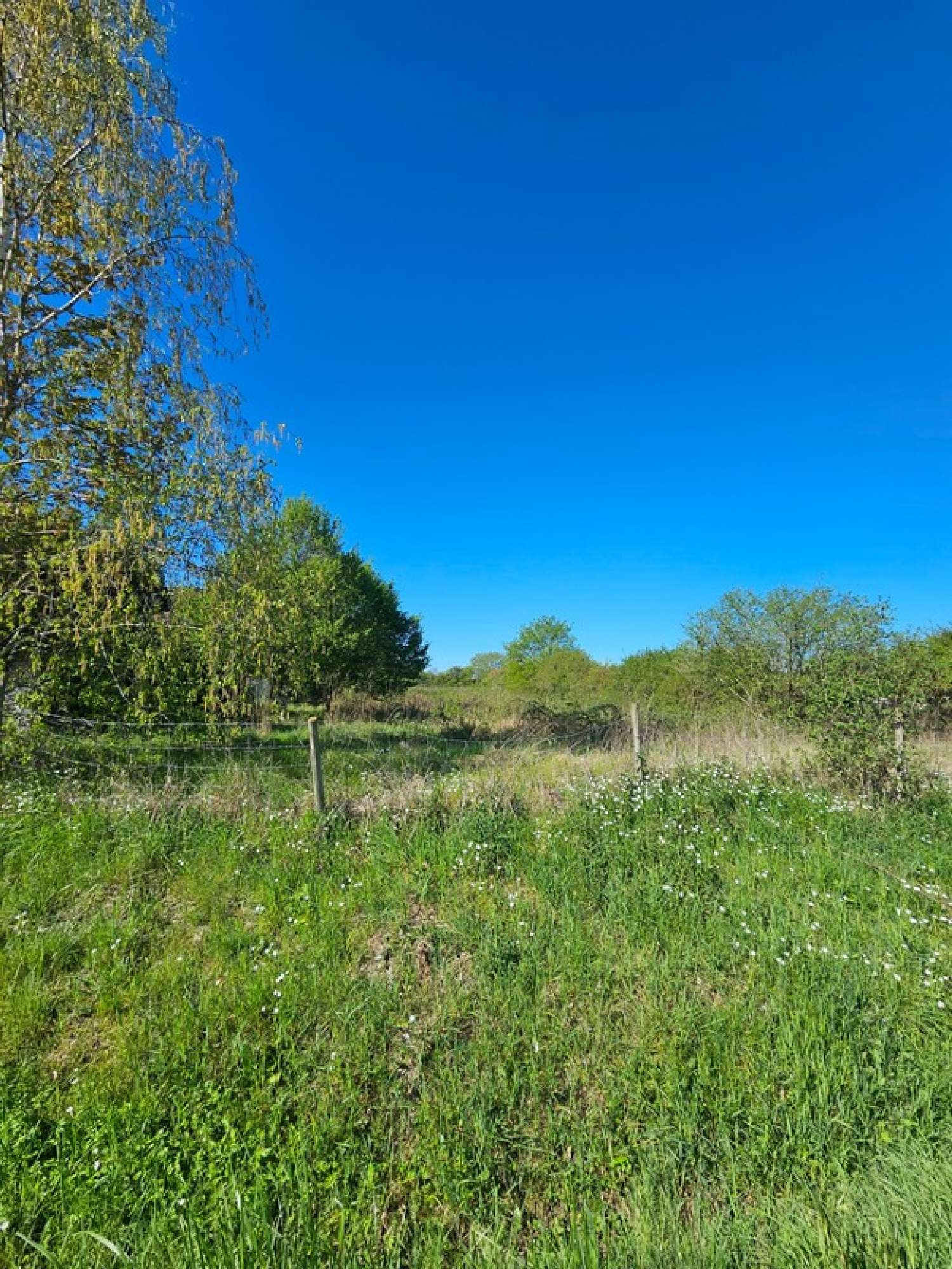  for sale terrain Boulleret Cher 1