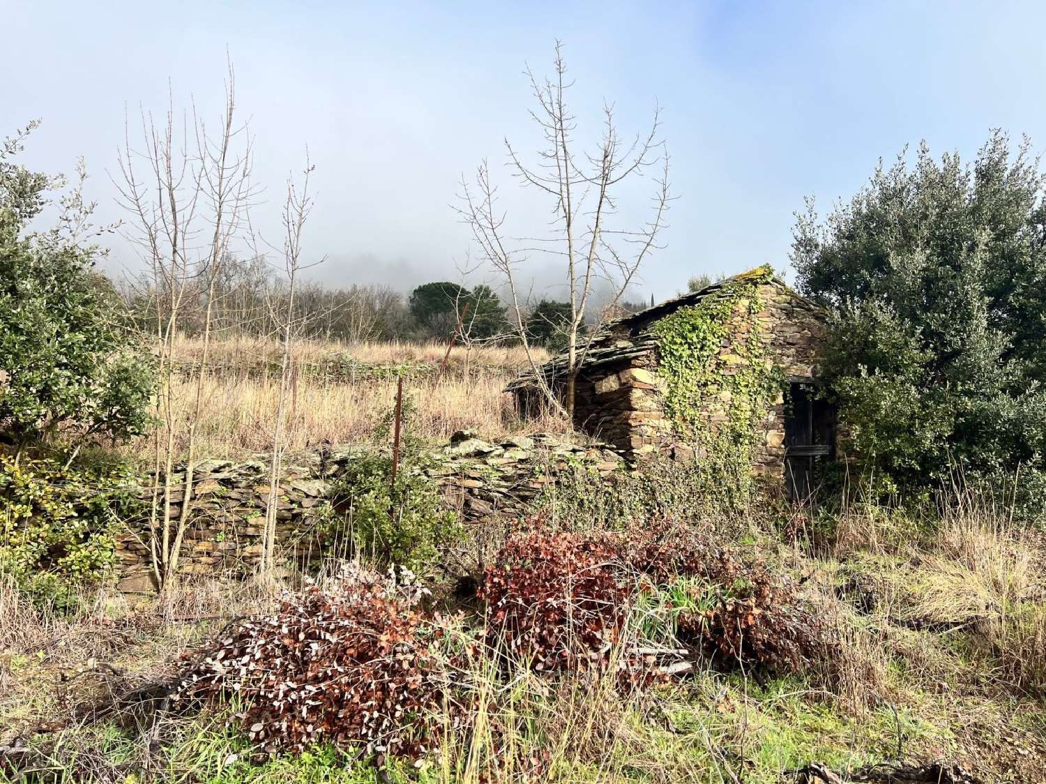 à vendre terrain Carnon-Plage Hérault 1