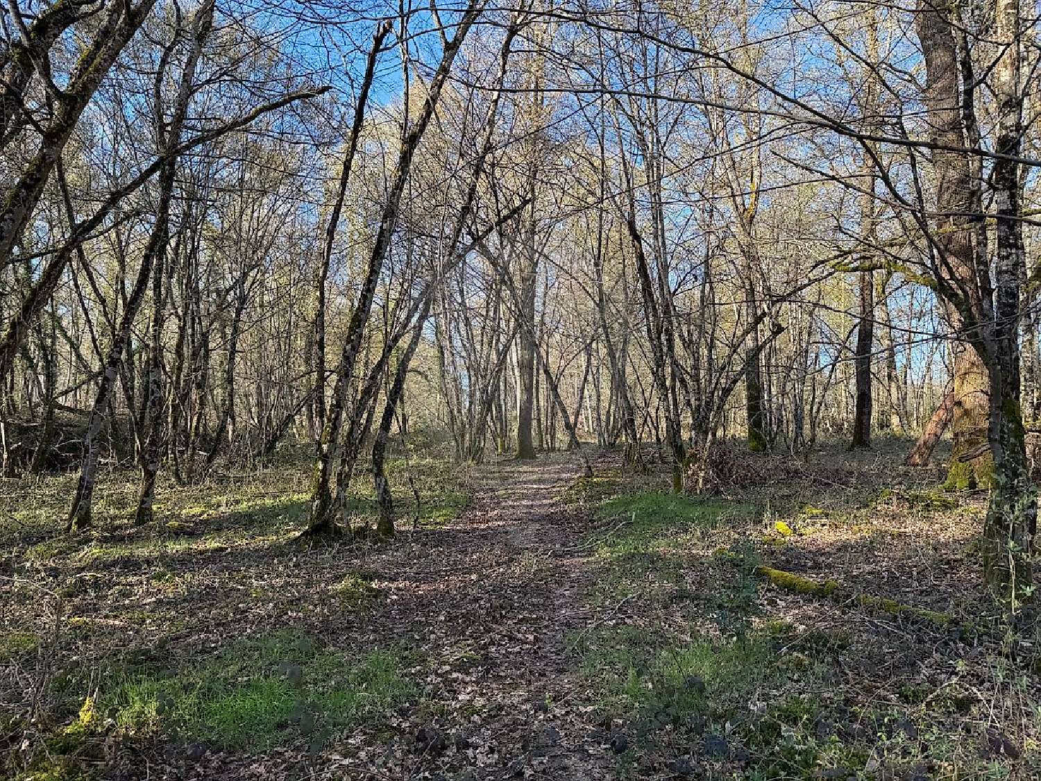  en venta terreno Cercy-la-Tour Nièvre 1