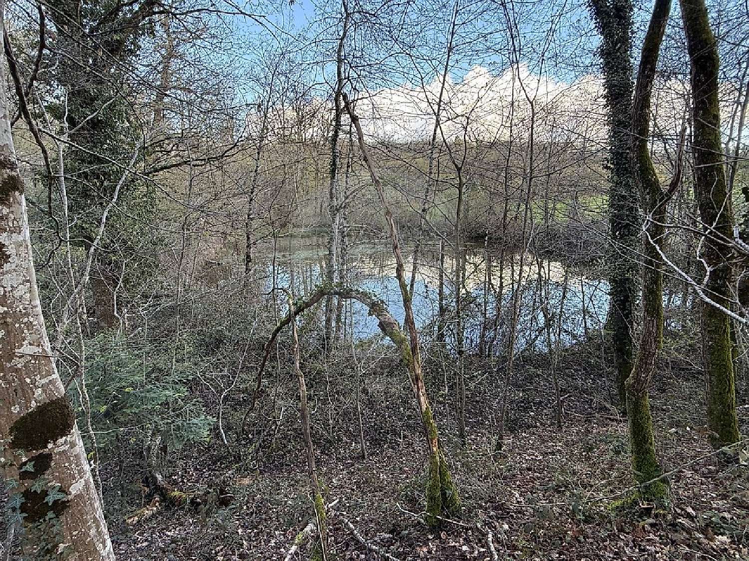  en venta terreno Cercy-la-Tour Nièvre 2