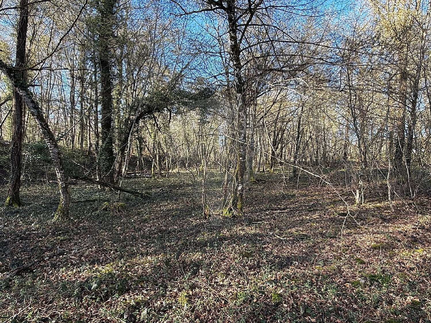  en venta terreno Cercy-la-Tour Nièvre 3
