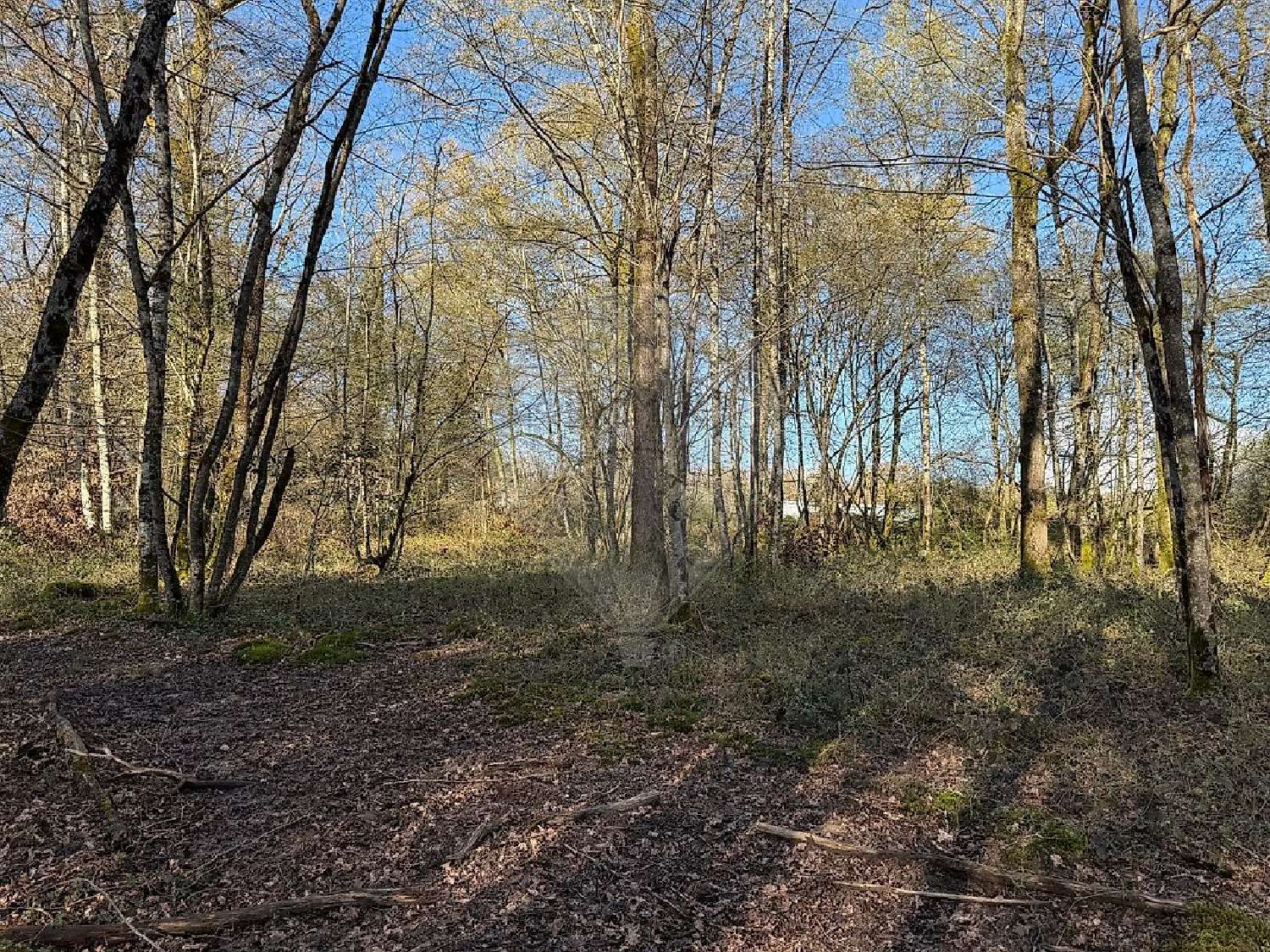  en venta terreno Cercy-la-Tour Nièvre 4